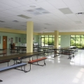 ST CAMILLIAS CATHOLIC SCHOOL 123
